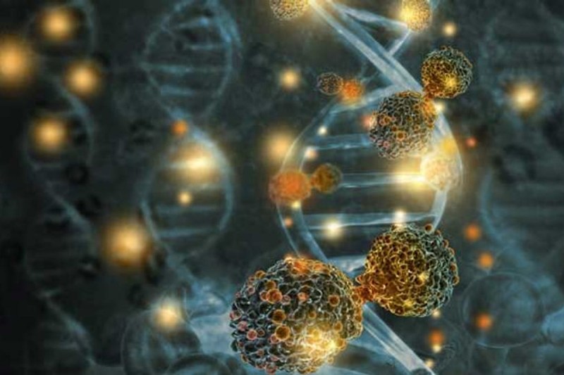 Cell therapy effective in reducing the risk of deaths due to Covid-19