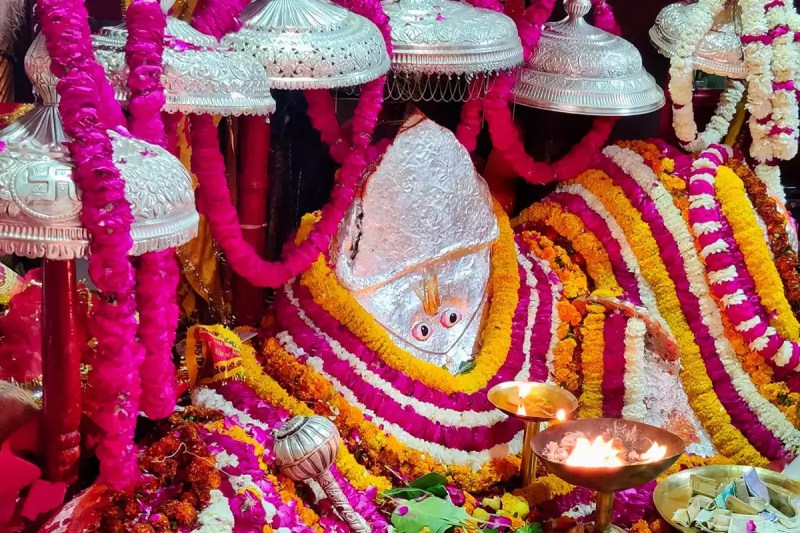 free entry of vehicles in Sariska Tiger Reserve and Pandupol