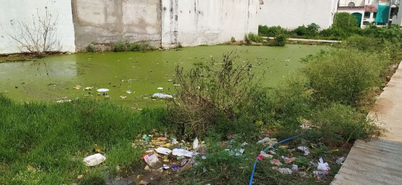 प्लॉट में भरा पानी,कचरा से पटा प्लॉट