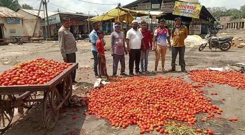 Tomatoes being sold at two rupees per kg, angry farmers threw them on the road