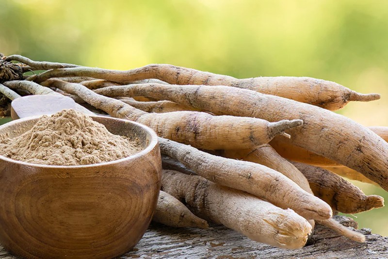 Health Benefits of Shatavari