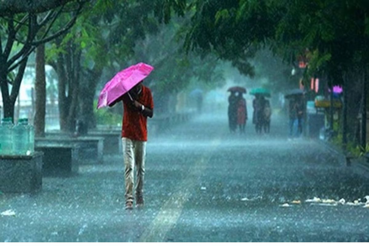Weather Update imd alert for heavy rain in 45 districts with thunderstorm