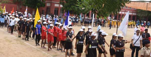  importance of tree quiz