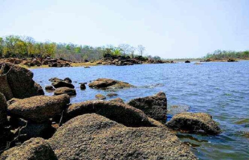 Weather Alert : बारिश ने मचाया आतंक...पनियाजोब बांध टूटा, सड़कों तक पानी आने से डोंगरगढ़ में बाढ़ का खतरा