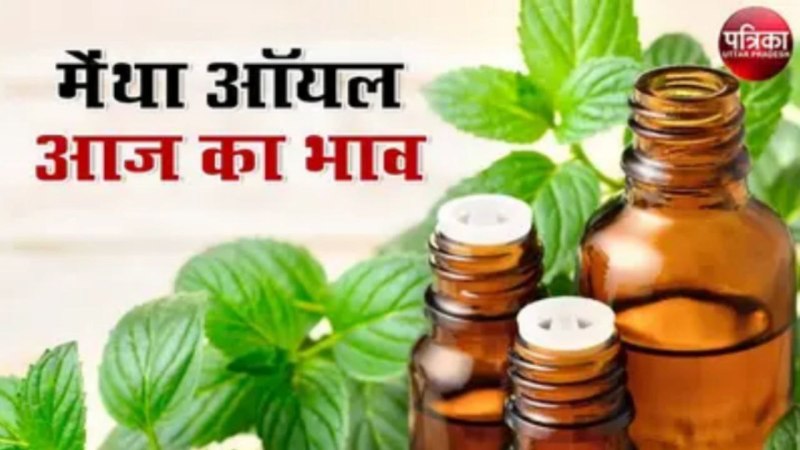 Mentha oil rate: 22 सितंबर को मेंथा तेल के मूल्य में वृद्धि, जानें आज का Mint oil rate