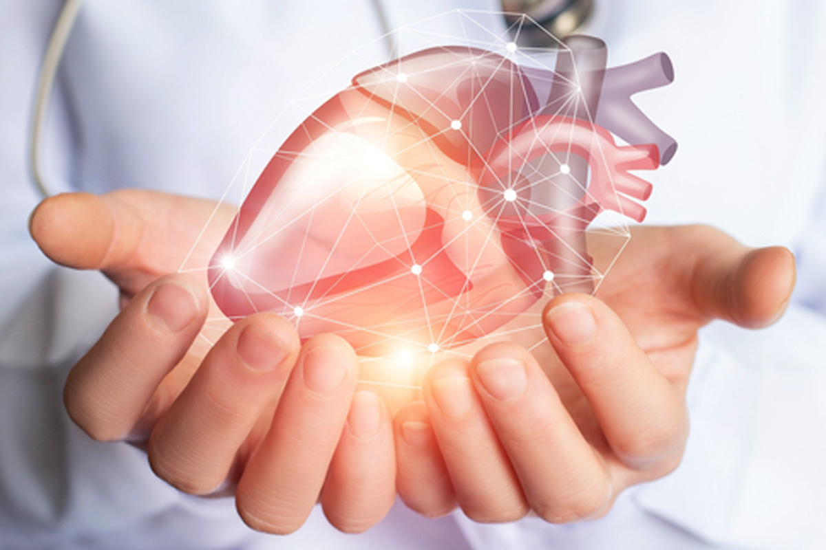 Head Injury Could Raise Heart Attack Risk