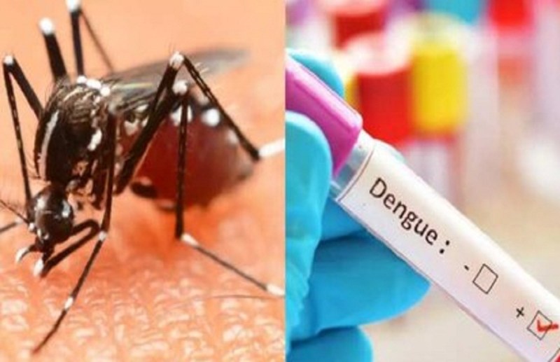 Health Alert: 817 dengue patients found in Chhattisgarh...1 dead