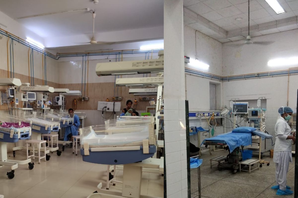 19 new dengue patients found in Lucknow anti larvae sprayed