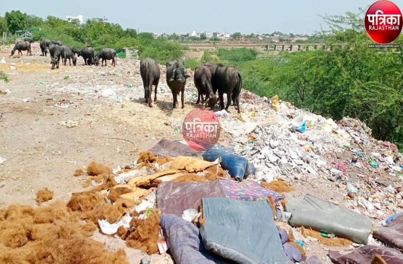 world river day special : यहां डंपिंग यार्ड में तब्दील हुई बांडी नदी, जिम्मेदारों ने मूंदी आंखें