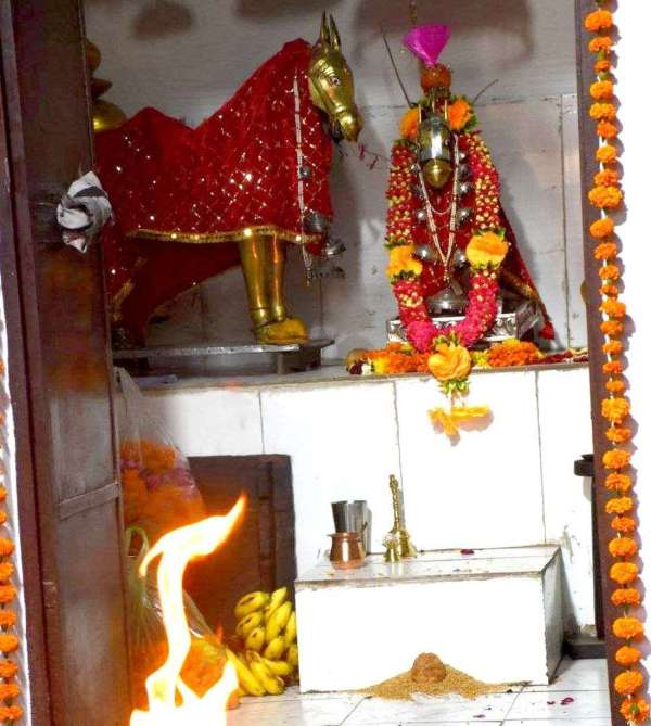 मुन्दियाड़ में रही गणपति बप्पा की गूंज, प्रदेशभर से पहुंचे श्रद्धालु