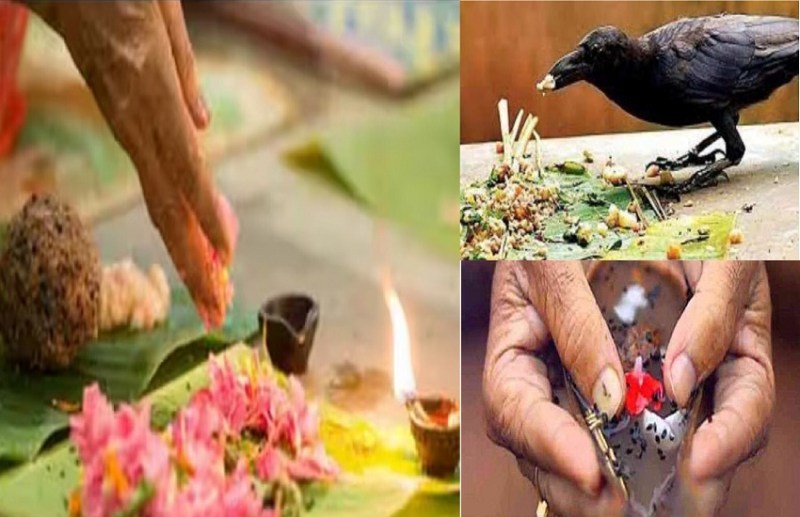 पितृपक्ष 2023 : इस दिन से शुरू होगी पितरों की पूजा, सूर्यग्रहण के दिन ये काम करने से बरसेगी पूर्वजों की कृपा