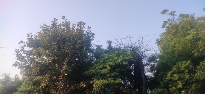 Weather forecast : इस तारीख से यूपी के इन जिलों में शुरू होगा गुलाबी सर्दी का दौर, बारिश ने तोड़ा सितंबर में 10 साल का रिकार्ड