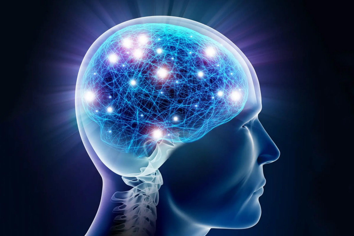 brain.jpg