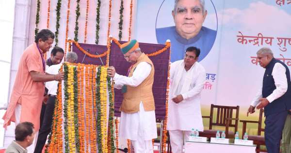 when-he-saw-chaos-he-made-arrangements-under-his-own-supervision