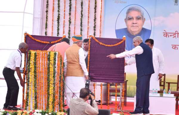 when-he-saw-chaos-he-made-arrangements-under-his-own-supervision