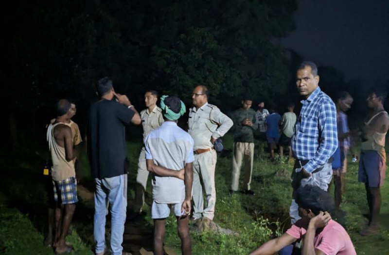 Elephants killed man