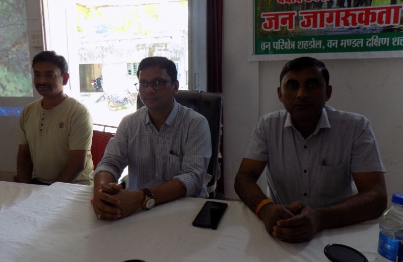 बांधवगढ़ के बाद अब छग की सीमा से बढ़ा जंगली हाथियों का मूवमेंट, वन अमले को कर रहे प्रशिक्षित