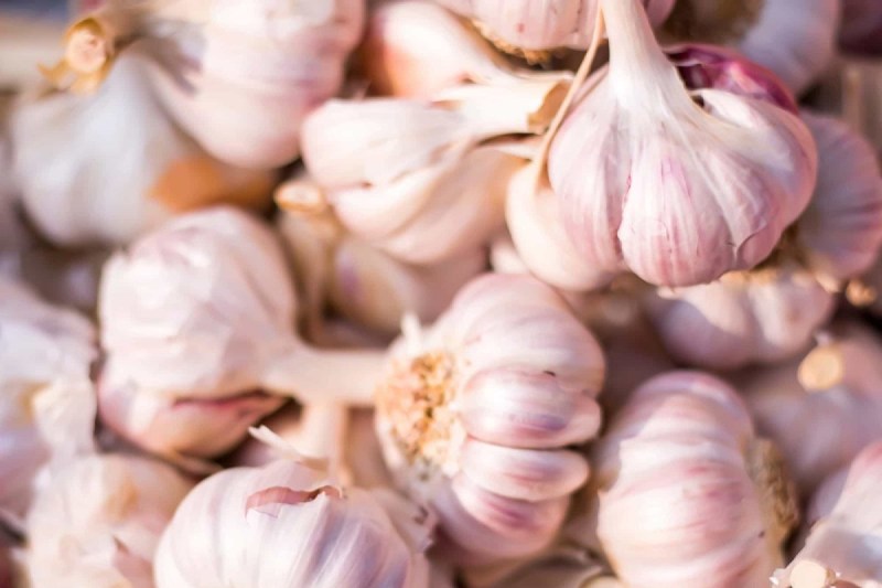 Garlic for digestion