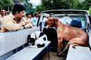 Raja Bhaiya Dogs Photos