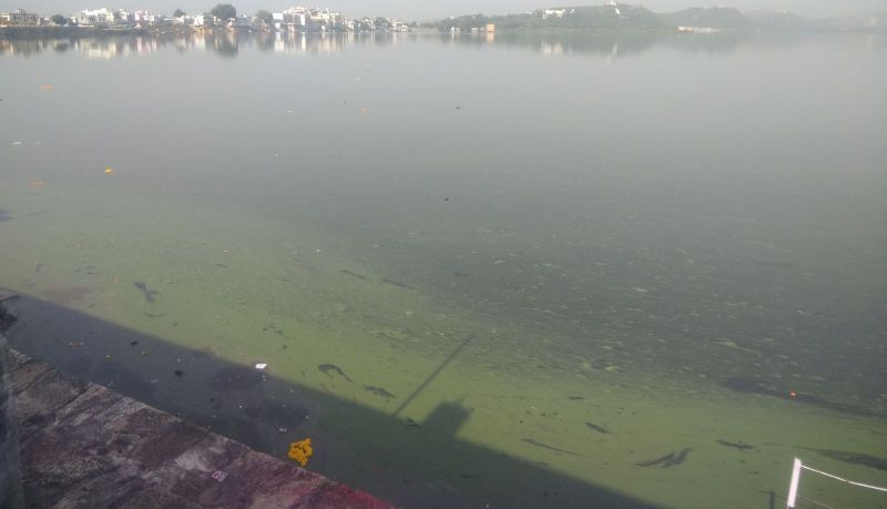 प्रदेश की यह झील छह साल बाद फिर से छलकने को तैयार...देखें वीडियो