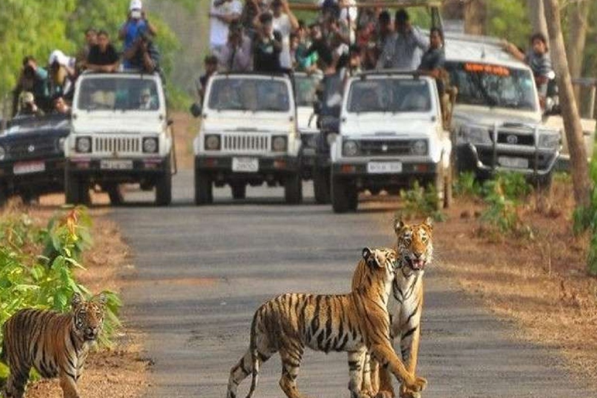 ranthambore_tiger_reserve_1.jpg