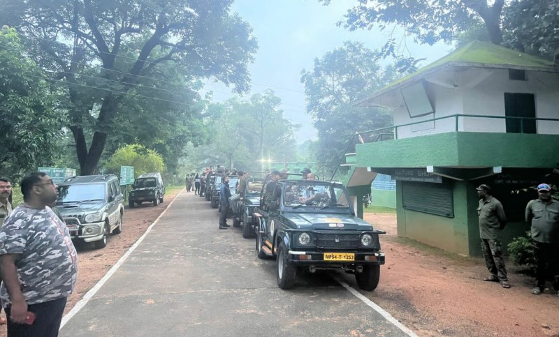पर्यटकों के लिए खुले बांधवगढ़ के गेट, दमनार और पिपरीडांड में हुई साइटिंग, पहले दिन 796 सैलानियों ने की सफारी