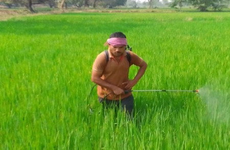 किसानों की चिंता बढ़ी, सलाह लेने कृषि विभाग की लगा रहे चक्कर