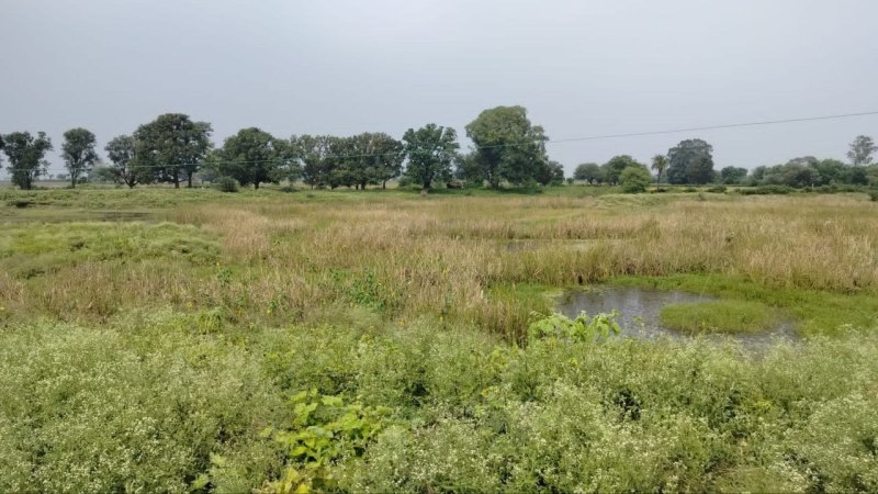 अधूरे पड़े 9 तालाबों में नहीं भर पाया 110500 लाख घनमीटर पानी 