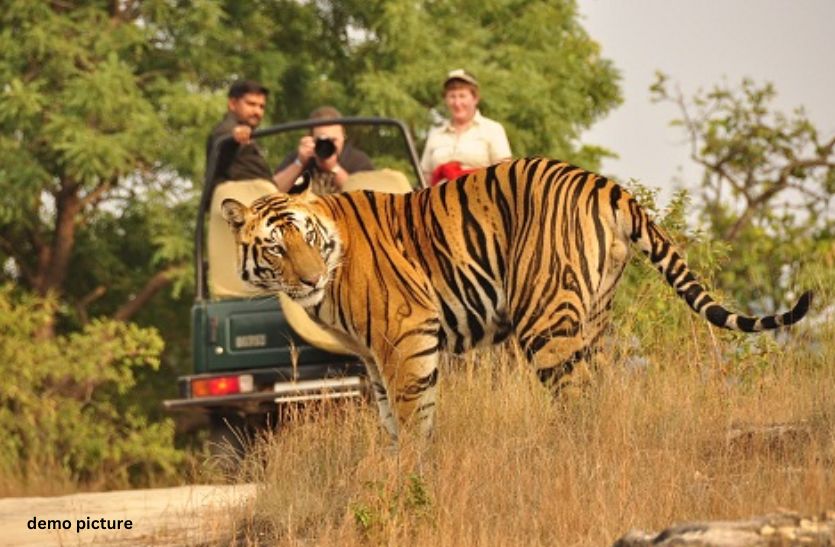 kumbhalgarh_wildlife_sanctuary_in_pali.jpg