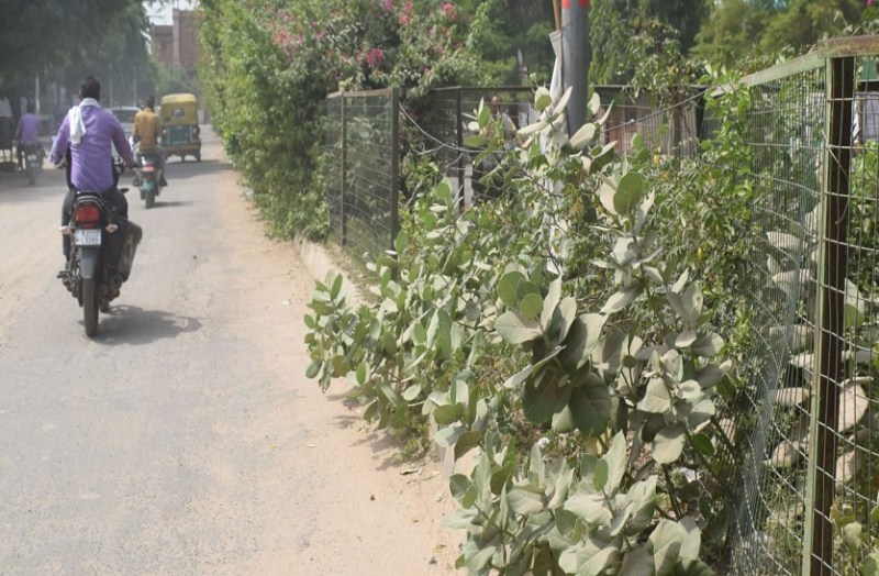 गड्ढे और दर्द देते स्पीड ब्रेकर....ये है गौरव पथ