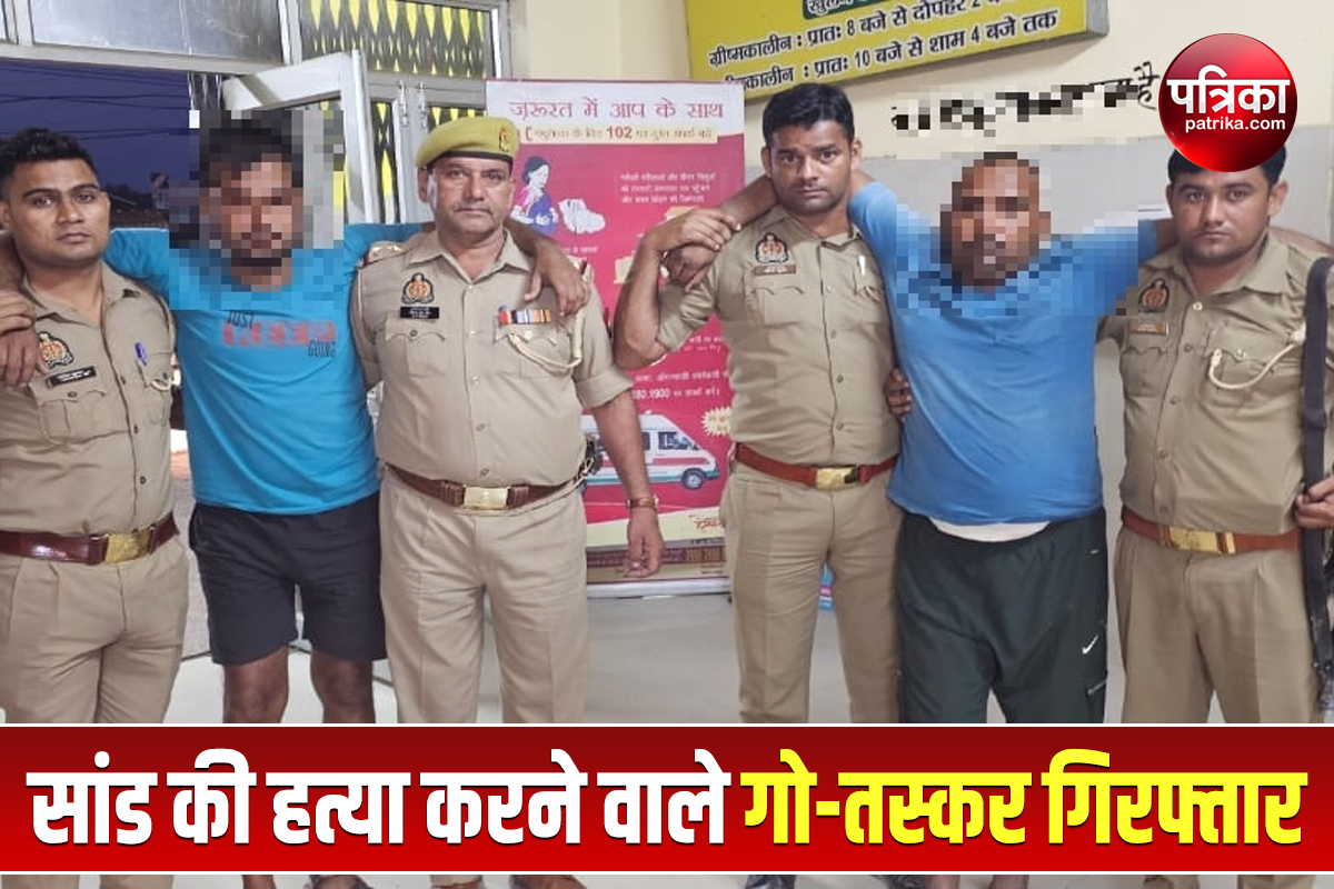 4-cow-smugglers-arrested-after-encounter-in-rampur.jpg