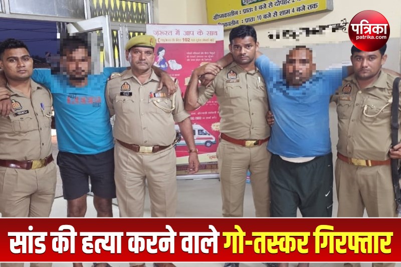4-cow-smugglers-arrested-after-encounter-in-rampur.jpg