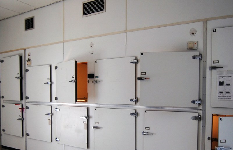 मर्चुरी में रखे शव को चूहों ने कुतरा