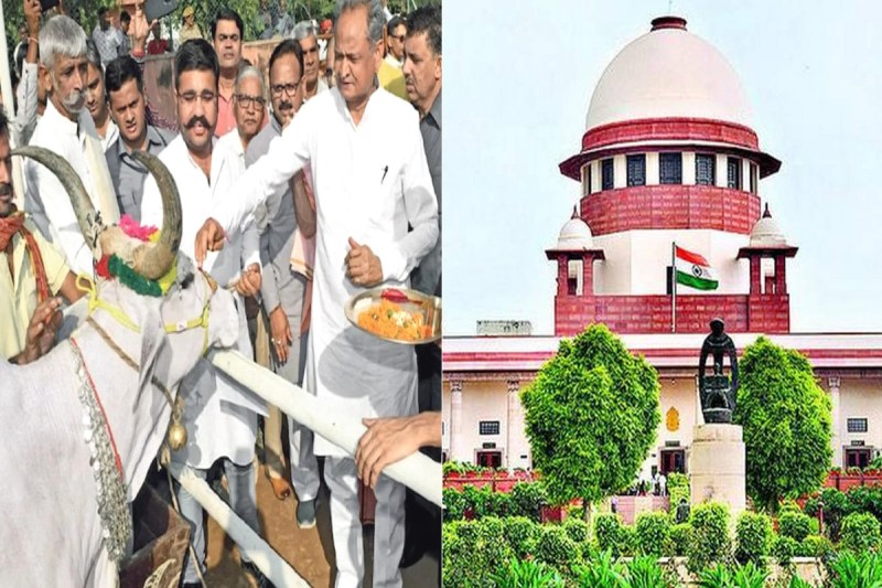 6 october cm gehlot gau sammelan jaipur supreme court ED direction