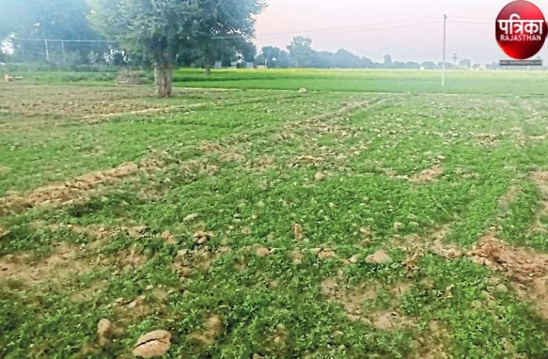 खुशखबर! ऐसे मेलों से होगा किसानों का उत्थान। जानिए...