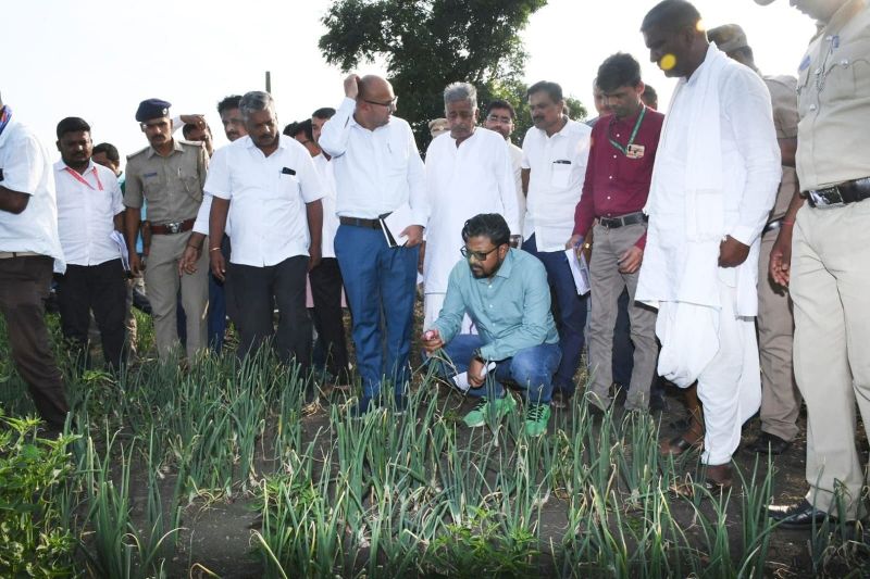 सीजन में 1.44 लाख हेक्टेयर फसल नष्ट