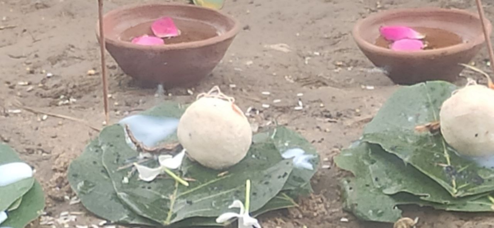 Pitru Paksha Ekadashi