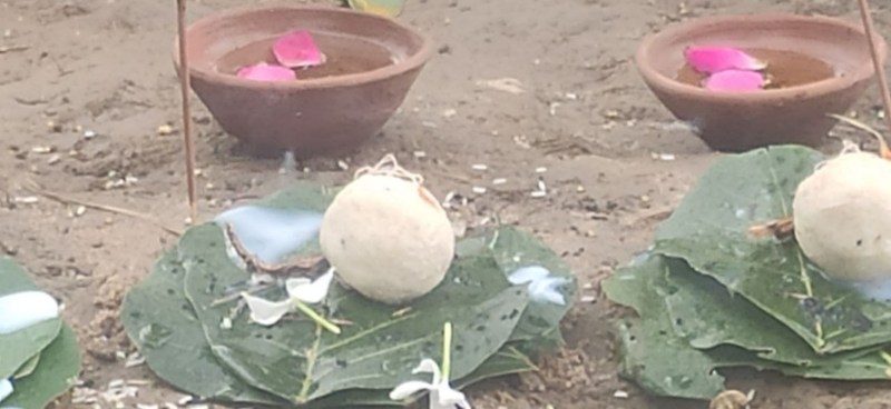 Pitru Paksha Ekadashi