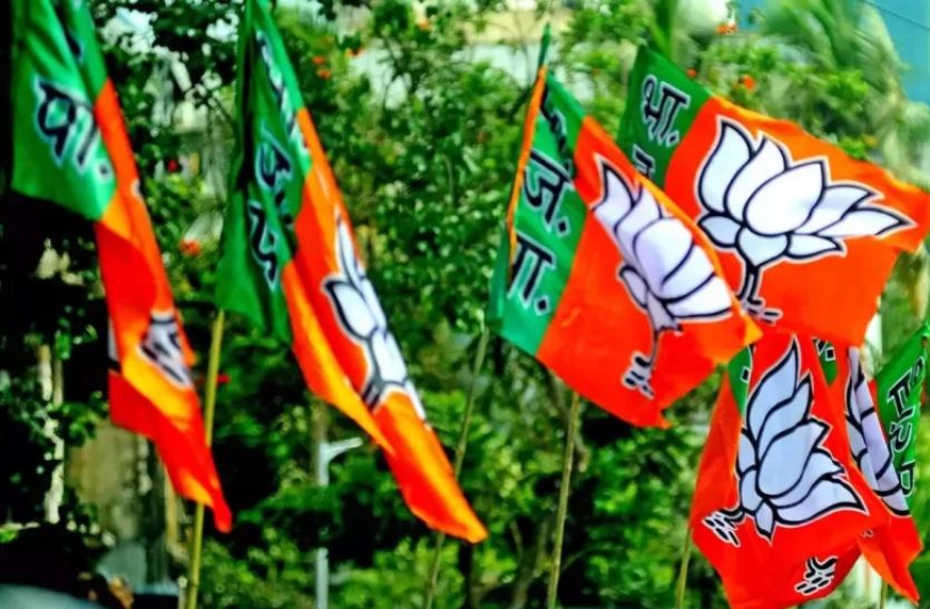 bjp_flag.jpg