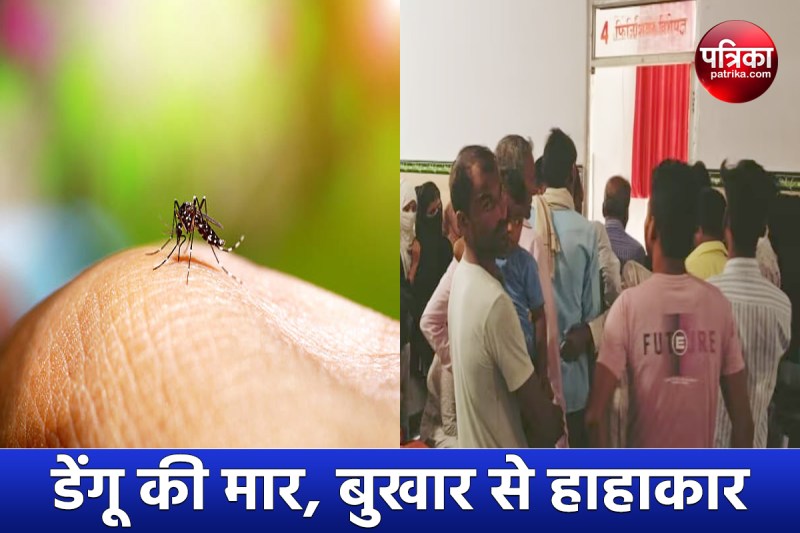 five-died-due-to-fever-in-rampur-so-many-more-dengue-patients-found.jpg