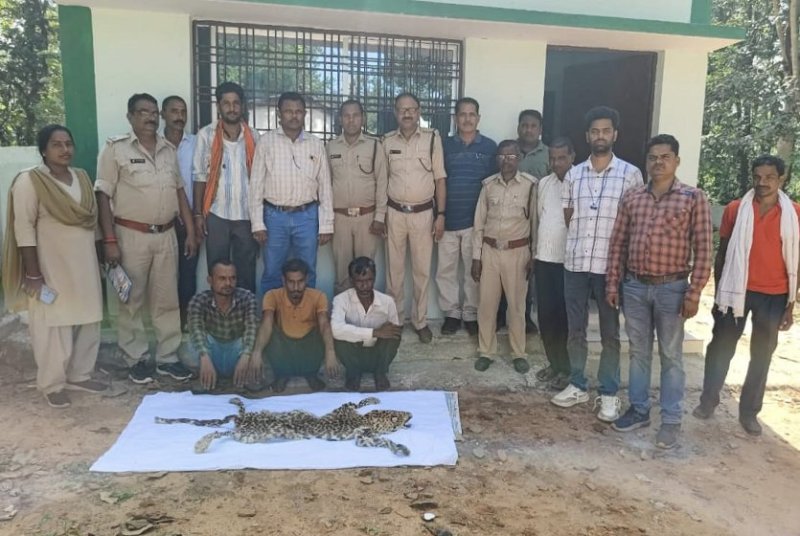 Leopard skin smuggling