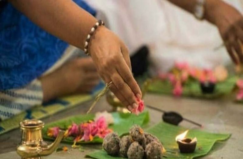 पितृपक्ष में चल रहे हैं दान-पुण्य के दौर, पेड़ लगाने का भी लें पुण्य लाभ