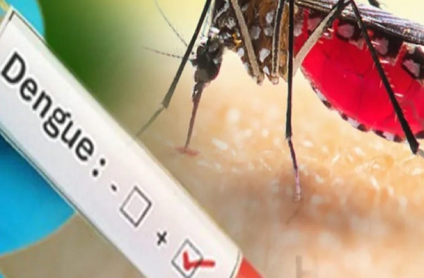 स्वाइन फ्लू पीडि़त महिला की डेंगू और चिकुनगुनिया रिपोर्ट भी पॉजिटिव