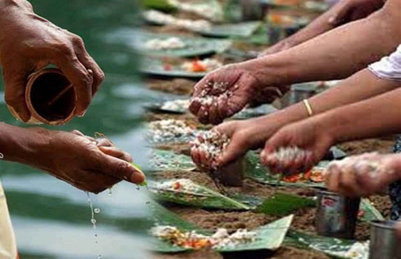 पितृमोक्ष अमावस्या पर श्रद्धापूवर्क विदा हुए पितर देव गायत्री परिजनों ने किया सामूहिक श्राद्ध-तर्पण