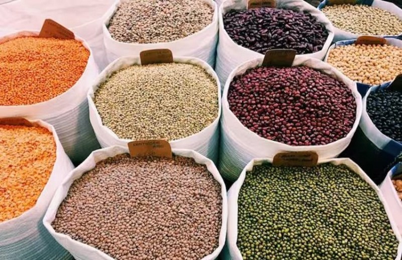 खेती को बढ़ावा फिर भी घट रही दलहन की पैदावार पांच साल में एक लाख क्विंटल की भारी गिरावट