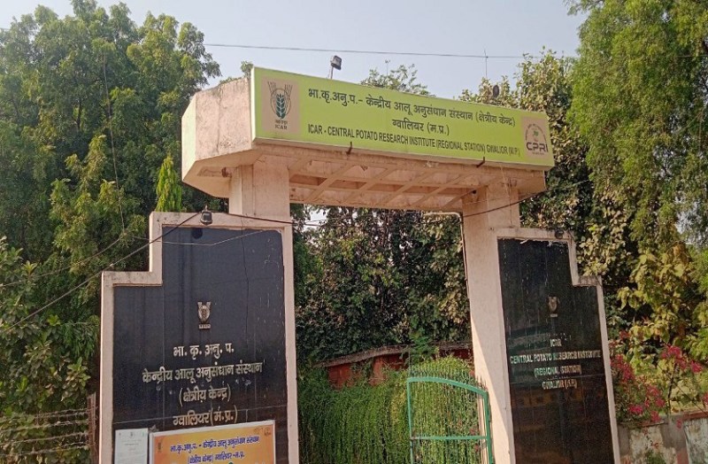 आलू पर संकट : एयरपोर्ट ने ले ली अनुसंधान की जमीन