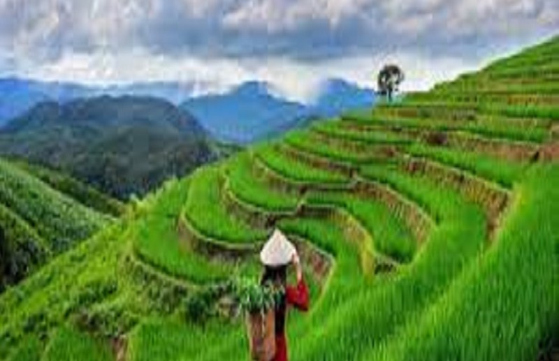 असम के सिलचर से एनआईए ने विस्फोट के मामले में एक को किया गिरफ्तार