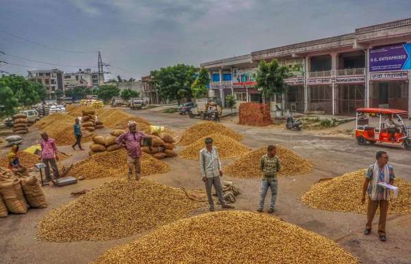 kukarkheda Mandi jaipur