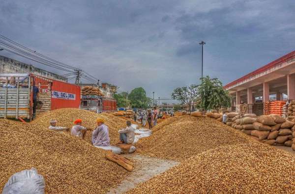 kukarkheda Mandi jaipur