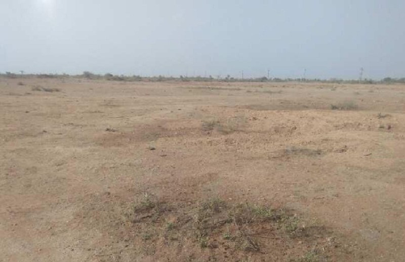 तहसीलदार और पटवारी का खेल, गलत रिपोर्ट लगाकर सरकारी जमीन के कब्जे का मामला कर दिया खारिज